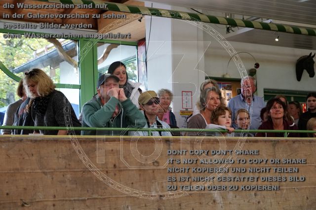 s_K3F01155.JPG
